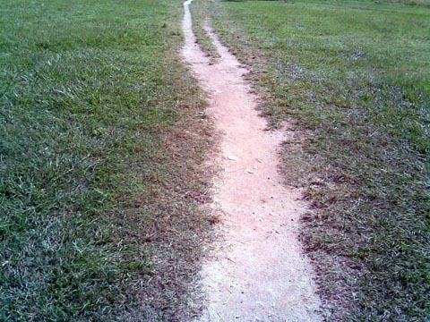 O nascimento de uma rua.