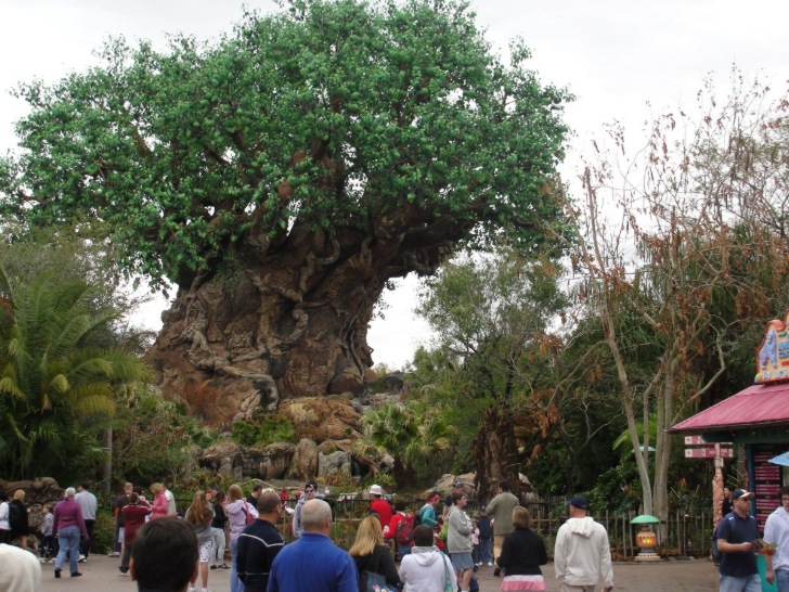 rvore da vida no Animal Kingdom