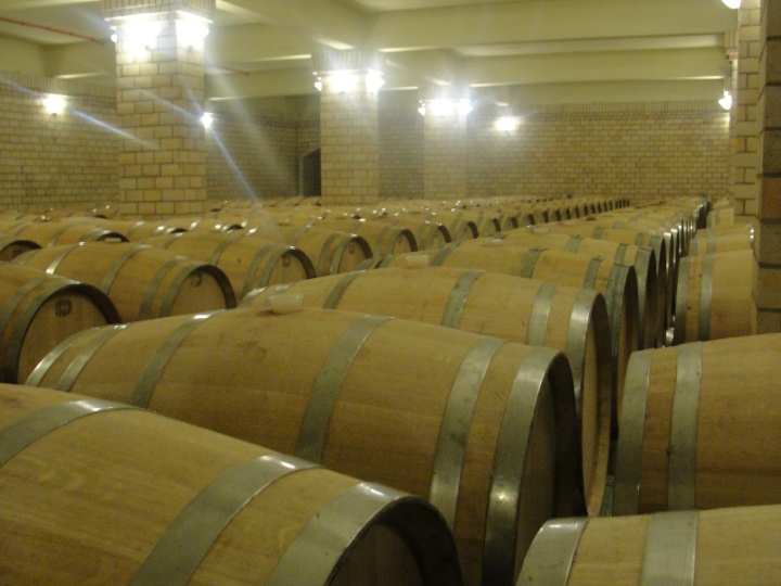 Barris de Carvalho envelhecendo vinho na vincola Miolo