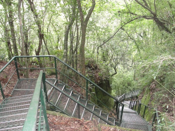 Escada de mais de 700 degraus que leva  base da cascata no Parque do Caracol em Canela
