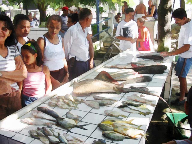 Col�nia de pescadores de Copacabana