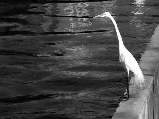 Canal do Jardim de Alah - Leblon