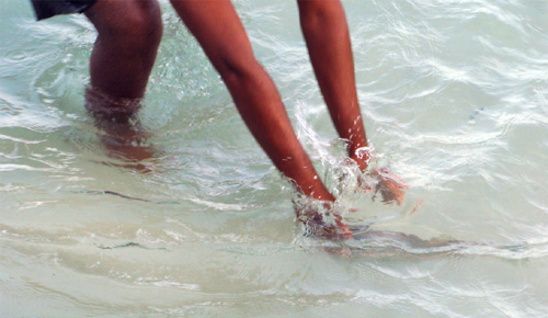 Pesca com as m�os em Arraial do Cabo