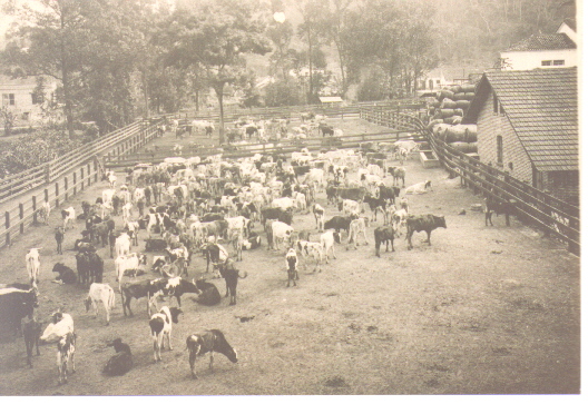 Alma Carioca - Rio Antigo