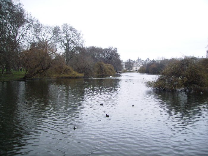 Saint James Park: O mais antigo parque de Londres